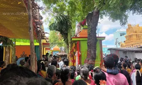 பாலமுருகன் கோவில் கும்பாபிஷேகம் பாலமுருகன் கோவில் கும்பாபிஷேகம்