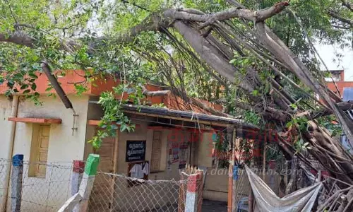 அரசு அலுவலகம் மீது மரம் சாய்ந்தது அரசு அலுவலகம் மீது மரம் சாய்ந்தது