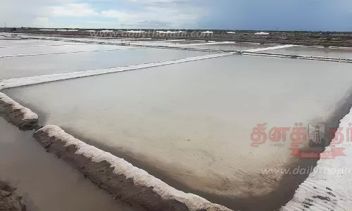 கோடை மழையால் உப்பு உற்பத்தி பாதிப்பு