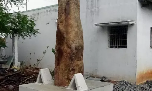 13 அடி உயர பிரமாண்டம்; 1000 ஆண்டுகளுக்கு முந்தைய நெடுங்கல்-ஆய்வு செய்ய பொதுமக்கள் கோரிக்கை