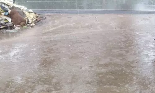 மாவட்டத்தில் பரவலாக கோடை மழை