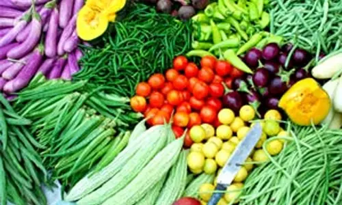 காய்கறிகள் விலை வீழ்ச்சி