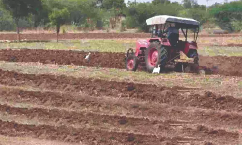 கோடை மழை ஈரத்தைப் பயன்படுத்தி கோடை உழவு செய்யுங்கள்