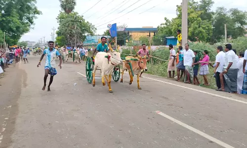 விளாத்திகுளத்தில் சித்திரை திருவிழா:மாட்டு வண்டி பந்தயம்