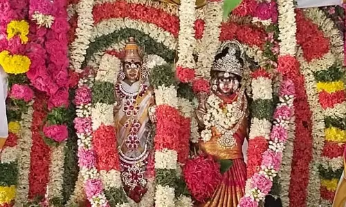 பெரியகுளத்தில் மீனாட்சி-சுந்தரேசுவரர் திருக்கல்யாணம் பெரியகுளத்தில் மீனாட்சி-சுந்தரேசுவரர் திருக்கல்யாணம்