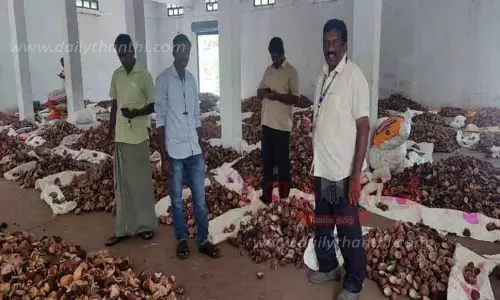 கொப்பரை தேங்காய் ஏலம்