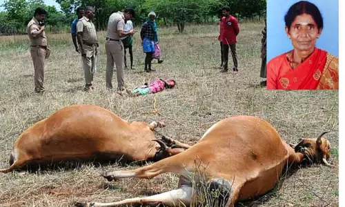 மின்னல் தாக்கி பெண் பலி மின்னல் தாக்கி பெண் பலி