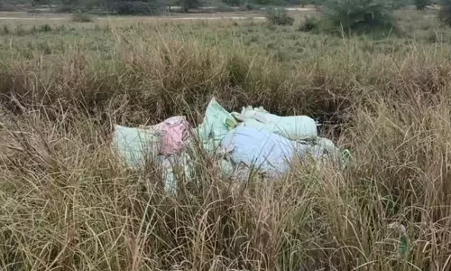 ரூ.2 லட்சம் மதிப்பிலான வேளாண் பொருட்கள் ஏரியில் வீச்சு ரூ.2 லட்சம் மதிப்பிலான வேளாண் பொருட்கள் ஏரியில் வீச்சு