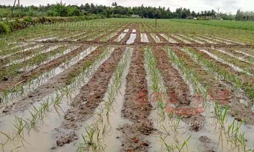 கும்பகோணம் பகுதியில் விடிய, விடிய பலத்த மழை