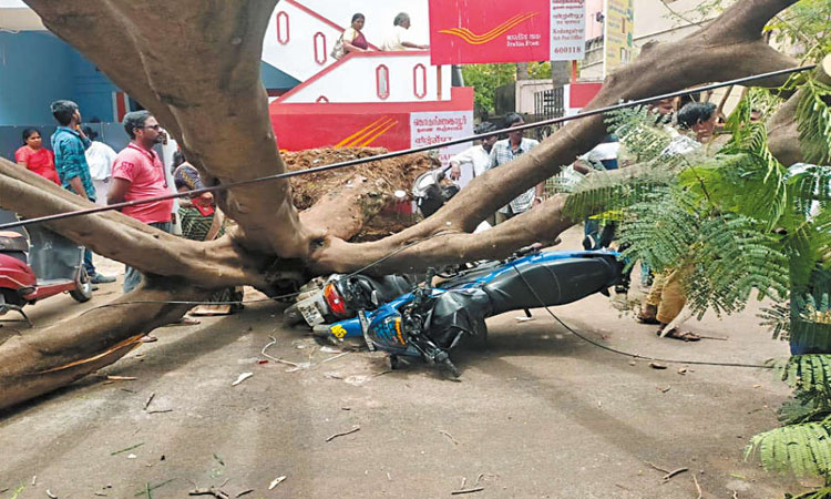 கொடுங்கையூரில் மரம் விழுந்து 3 மோட்டார் சைக்கிள்கள் நொறுங்கியது