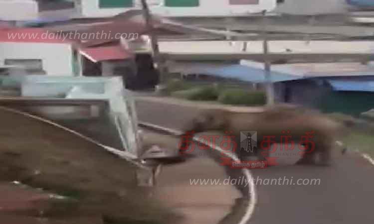 பந்தலூர் அருகே குடியிருப்புகளை காட்டு யானை முற்றுகை-வாகன ஓட்டிகளை விரட்டியதால் பரபரப்பு