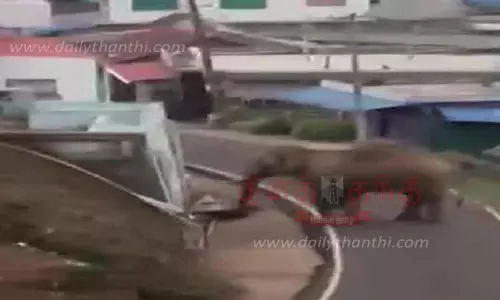 பந்தலூர் அருகே குடியிருப்புகளை காட்டு யானை முற்றுகை-வாகன ஓட்டிகளை விரட்டியதால் பரபரப்பு பந்தலூர் அருகே குடியிருப்புகளை காட்டு யானை முற்றுகை-வாகன ஓட்டிகளை விரட்டியதால் பரபரப்பு