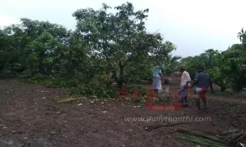 மக்னா யானையை பிடிக்க வேண்டும் மக்னா யானையை பிடிக்க வேண்டும்