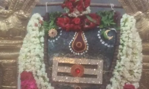 பிரதோஷத்தையொட்டி சிவன் கோவில்களில் சிறப்பு பூஜை-திரளான பக்தர்கள் சாமி தரிசனம் பிரதோஷத்தையொட்டி சிவன் கோவில்களில் சிறப்பு பூஜை-திரளான பக்தர்கள் சாமி தரிசனம்