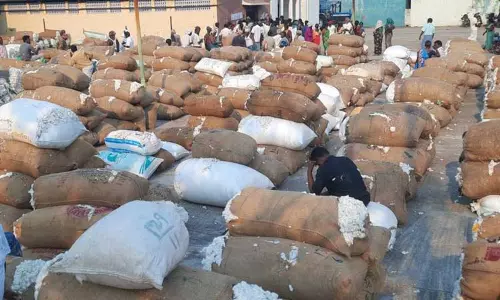 கள்ளக்குறிச்சியில் ரூ.20 லட்சத்துக்கு பருத்தி விற்பனை கள்ளக்குறிச்சியில் ரூ.20 லட்சத்துக்கு பருத்தி விற்பனை