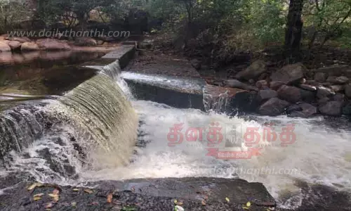 பாபநாசம் அணை நீர்மட்டம் ஒரே நாளில் 4½ அடி உயர்வு