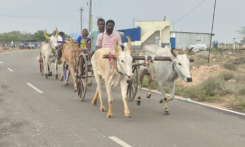 ஓட்டப்பிடாரம் அருகேமாட்டு வண்டி, குதிரை வண்டி பந்தயம்