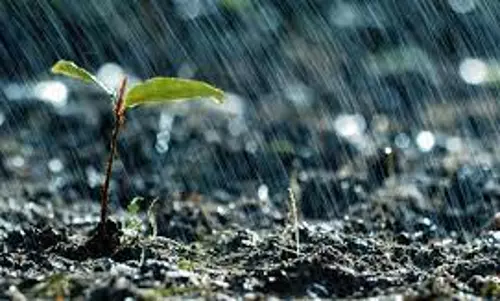 மழைநீரை சேமிக்க கோடை உழவு அவசியம்