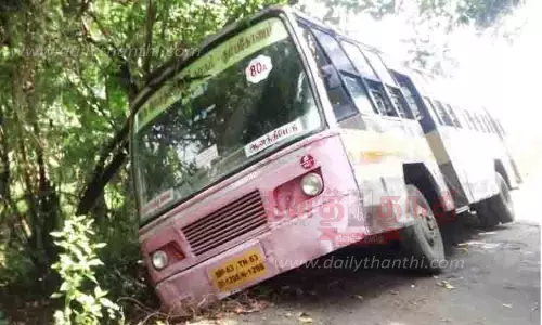 மரக்கிளையில் மோதி பள்ளத்தில் இறங்கிய பஸ்; பயணிகள் அதிர்ஷ்டவசமாக உயிர் தப்பினர்