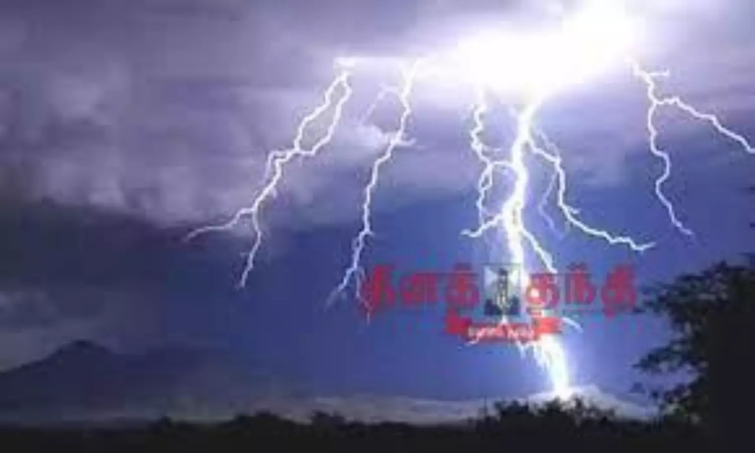 மின்சாரம் தாக்கி பசு மாடு சாவு