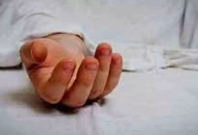 கார் மோதி மூதாட்டி பலி