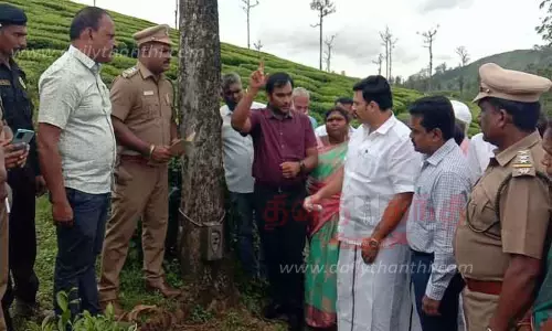 தோட்ட தொழிலாளர்களை பாதுகாக்க  நடவடிக்கை