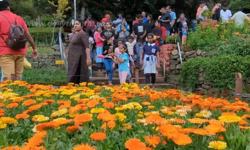 பிரையண்ட் பூங்காவில் பூத்துக்குலுங்கும் பூக்கள்