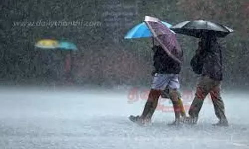 ராணிப்பேட்டை மாவட்டத்தில்பலத்த மழையால் விவசாயிகள் மகிழ்ச்சி