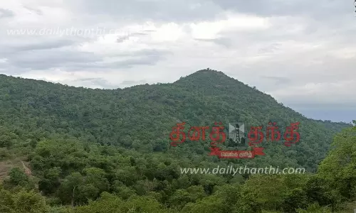 பசுமையாக காணப்படும் பர்கூர் மலைப்பகுதி