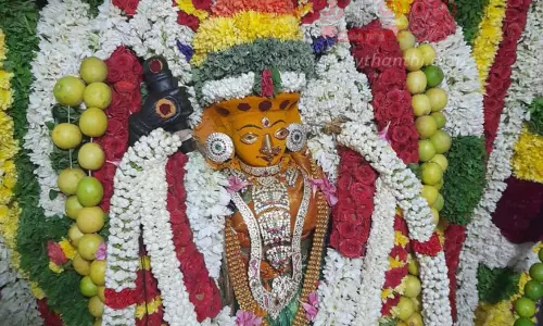 சாமுண்டீஸ்வரி அம்மன் கோவிலில் சித்ரா பவுர்ணமி விழா சாமுண்டீஸ்வரி அம்மன் கோவிலில் சித்ரா பவுர்ணமி விழா