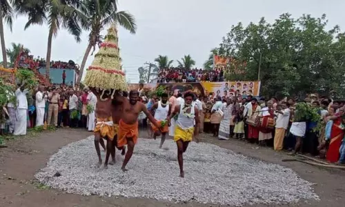 கருவேப்பிலைப்பாளையம் தர்மராஜ திரவுபதி அம்மன் கோவிலில் தீ மிதி திருவிழா