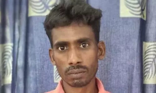 கல்வராயன்மலையில் கஞ்சா செடி வளர்த்த வாலிபர் குண்டர் சட்டத்தில் கைது