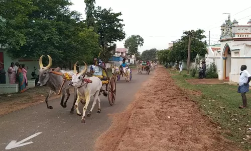 மாட்டு வண்டி எல்கை பந்தயம்