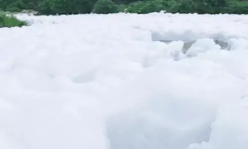 ஓசூர் கெலவரப்பள்ளி அணையில் இருந்துரசாயனம் கலந்து நுரை பொங்கி வெளியேறும் தண்ணீர் ஓசூர் கெலவரப்பள்ளி அணையில் இருந்துரசாயனம் கலந்து நுரை பொங்கி வெளியேறும் தண்ணீர்