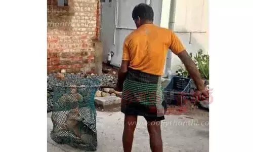 தினத்தந்தி செய்தி எதிரொலி: அரியலூரில் தெரு நாய்களை பிடிக்கும் பணி தொடங்கியது