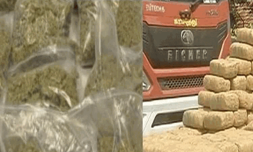 ஆபரேஷன் கஞ்சா வேட்டை 4.0-  659 கஞ்சா வியாபாரிகள் கைது; 728 கிலோ கஞ்சா பறிமுதல்!