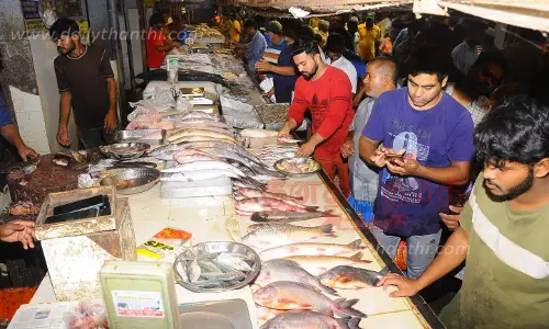 வேலூர் மார்க்கெட்டில் மீன்கள் விலை உயர்வு