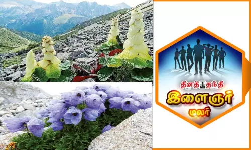 இமயமலையில் தளிர்க்கும் செடிகள் இமயமலையில் தளிர்க்கும் செடிகள்