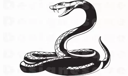 வாகனம் மோதி உயிருக்கு போராடிய மலைப்பாம்பு