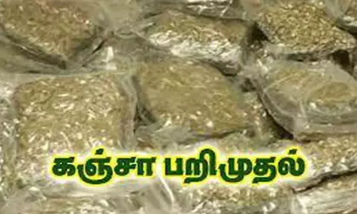 ஆந்திராவில் இருந்து ரெயிலில் கஞ்சா கடத்திய 2 பேர் கைது