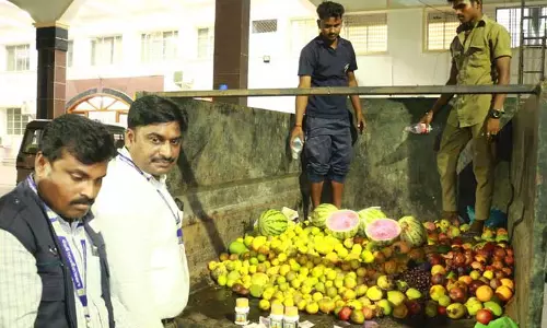 ரசாயன கற்கள் மூலம் பழுக்க வைக்கப்பட்ட1 டன் மாம்பழங்கள் பறிமுதல்உணவு பாதுகாப்புத்துறை அதிகாரிகள் நடவடிக்கை ரசாயன கற்கள் மூலம் பழுக்க வைக்கப்பட்ட1 டன் மாம்பழங்கள் பறிமுதல்உணவு பாதுகாப்புத்துறை அதிகாரிகள் நடவடிக்கை