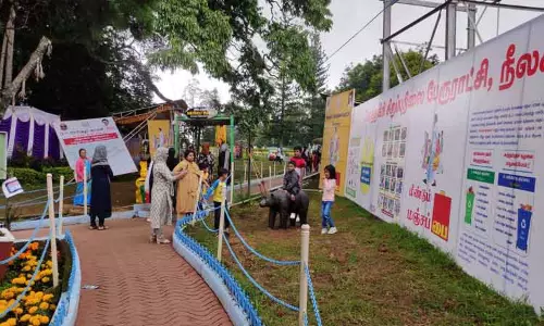 காய்கறி கண்காட்சி நிறைவு பெற்ற பிறகும் கோத்தகிரி நேரு பூங்காவில் குவியும் சுற்றுலா பயணிகள்-புகைப்படம், செல்பி எடுக்க ஆர்வம்