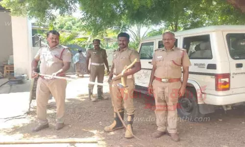 வீட்டுக்குள் புகுந்த சாரைப்பாம்பு