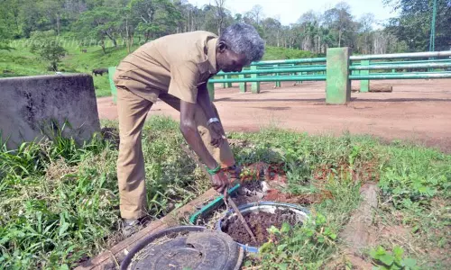 சோதனை முறையில் மண்புழு உரம் தயாரிப்பு