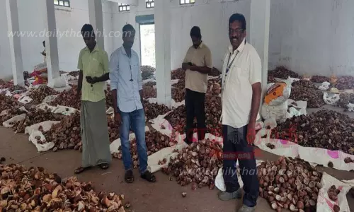 ஆனைமலையில் கொப்பரை தேங்காய் ஏலம்