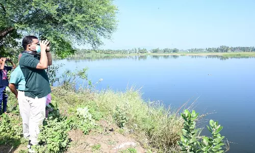 சுற்றுச்சூழலை பாதுகாக்க உதவிடும் பறவை இனங்களை பாதுகாக்க வேண்டும்