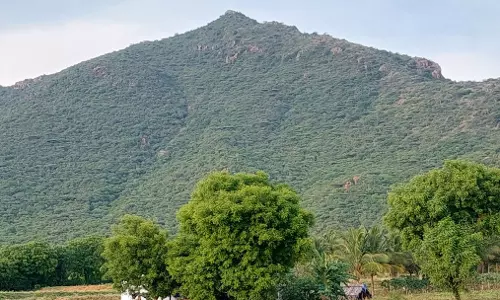 கருமலையில் மூலிகை பண்ணை அமைக்கவேண்டும் கருமலையில் மூலிகை பண்ணை அமைக்கவேண்டும்