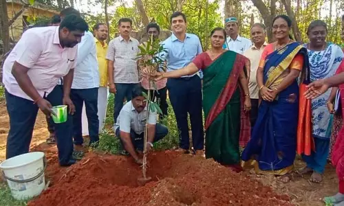 மரக்கன்றுகள் நடும் விழா