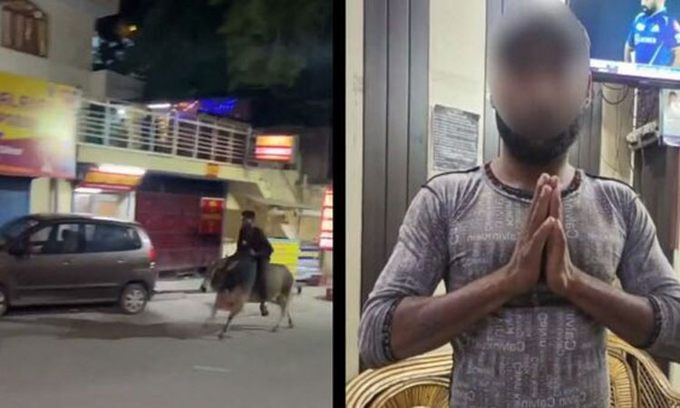 மதுபோதையில் காளை மீது ஏறி சவாரி செய்த நபர் - எச்சரித்த அனுப்பிய போலீசார்...!