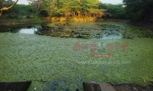 பிடாரி குளத்தில் படித்துறையை சீரமைக்க வேண்டும்